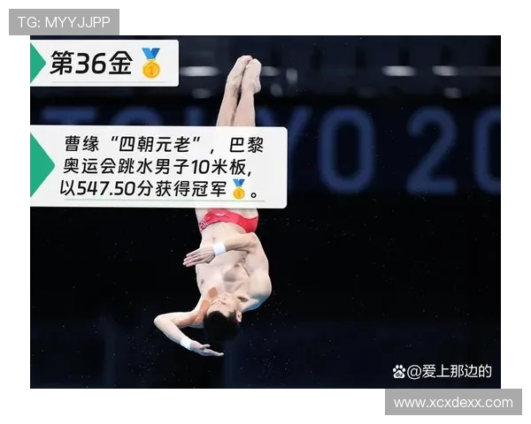 跳水运动的历史发展规则技巧与世界名将风采全景解析深度赏析展现