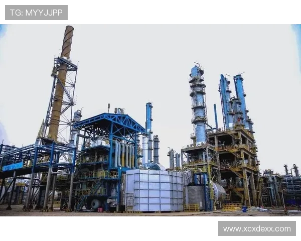 新疆广汇集团发展新蓝图：探索多元化产业升级与区域经济协同创新路径