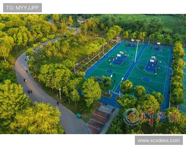 篮球技战术创新与发展趋势分析 未来篮球赛事变革与球员培养方向探讨 篮球技战术创新与发展趋势分析 未来篮球赛事变革与球员培养方向探讨