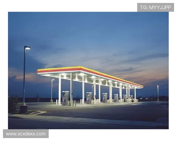 LNG在挑战者杯中的强势表现与未来潜力深度解析