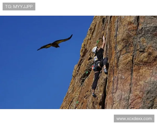 南京攀岩队比赛经验分享与技术提升探讨攀岩焦点解析