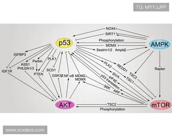 周军独家分享英雄联盟游戏心得与技巧提升之道