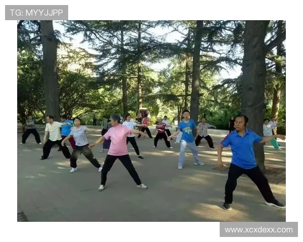 对话王伟:回顾排球生涯中的挑战与成就分享