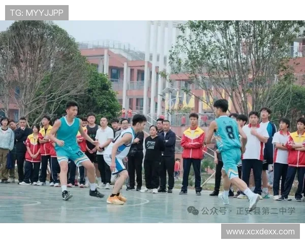 成都篮球队在冠军赛中的强势表现与未来展望分析 成都篮球队在冠军赛中的强势表现与未来展望分析