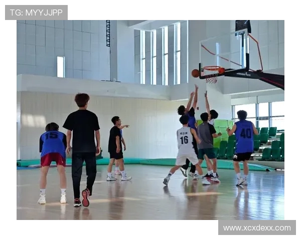 以篮球为纽带探索团队协作与青春拼搏精神的力量 以篮球为纽带探索团队协作与青春拼搏精神的力量