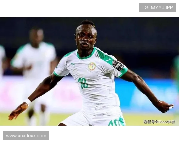 埃及与刚果展开激烈对决世预赛争夺战即将上演