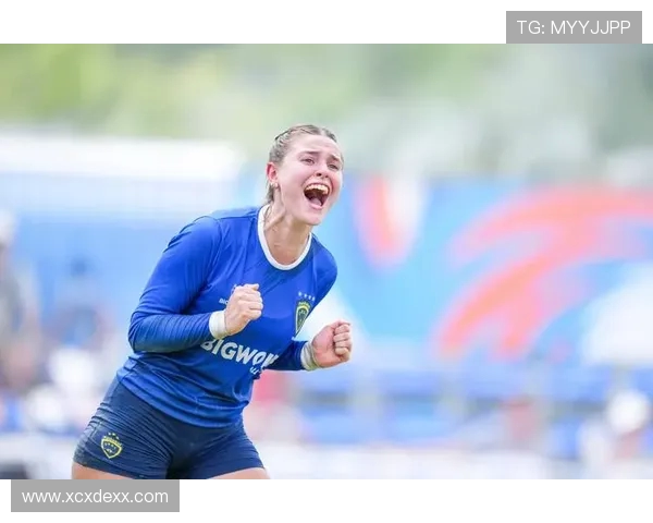 巴西与德国足球专家分析汇总揭示比赛关键因素与战术对比